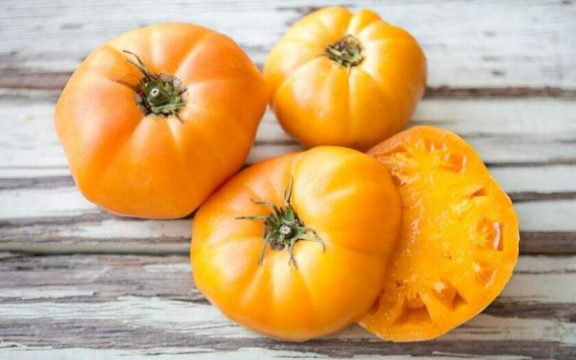 Yellow Brandywine paradicsom - Paradicsom különlegességek az Egzotikus Növények Stúdiója kínálatából